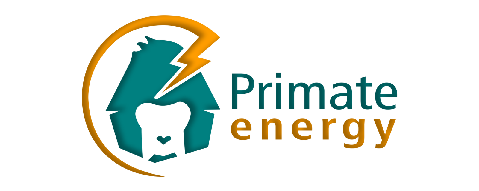 Primate Energy (Pvt) Ltd